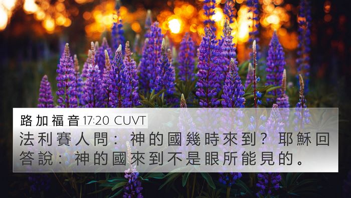 路 加 福 音 17:20 CUVT Bible Verse Image