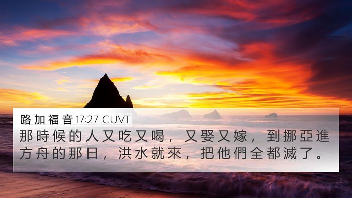 路 加 福 音 17:27 CUVT Bible Verse Image