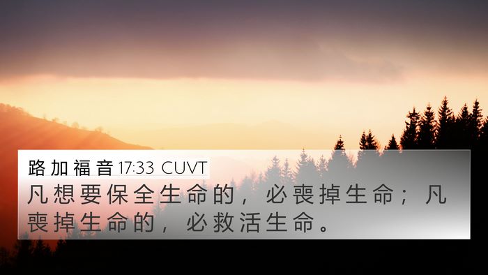 路 加 福 音 17:33 CUVT Bible Verse Image