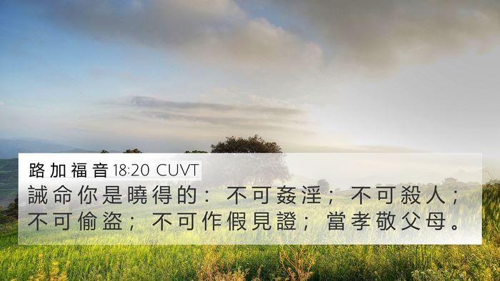路 加 福 音 18:20 CUVT 4K Wallpaper - 誡 命 你 是 曉 得 的 ： 不 可 姦 淫 - 4K Wallpaper Bible Verse