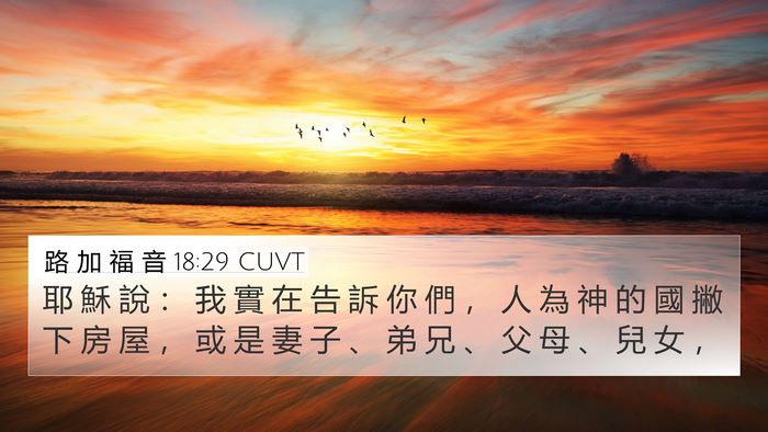 路 加 福 音 18:29 CUVT 4K Wallpaper - 耶 穌 說 ： 我 實 在 告 訴 你 們 ， - 4K Wallpaper Bible Verse
