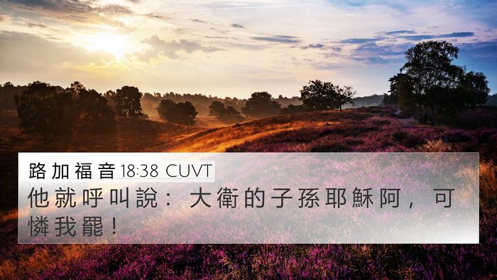 路 加 福 音 18:38 CUVT Bible Verse Image