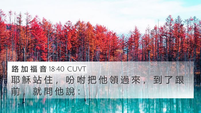 路 加 福 音 18:40 CUVT 4K Wallpaper - 耶 穌 站 住 ， 吩 咐 把 他 領 過 來 - 4K Wallpaper Bible Verse