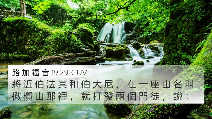 路 加 福 音 19:29 CUVT Bible Verse Image