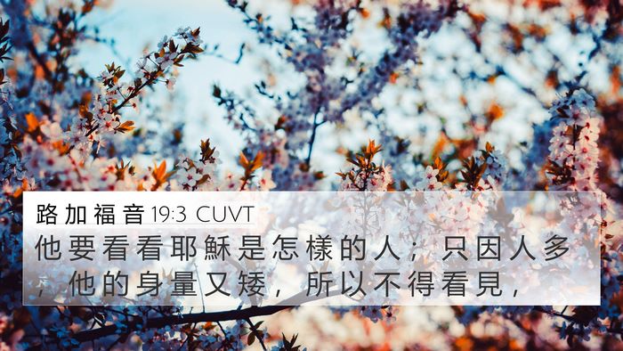 路 加 福 音 19:3 CUVT Bible Verse Image