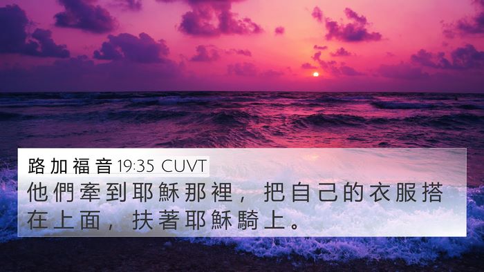 路 加 福 音 19:35 CUVT 4K Wallpaper - 他 們 牽 到 耶 穌 那 裡 ， 把 自 己 - 4K Wallpaper Bible Verse
