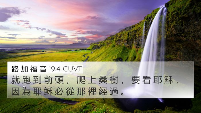 路 加 福 音 19:4 CUVT 4K Wallpaper - 就 跑 到 前 頭 ， 爬 上 桑 樹 ， 要 - 4K Wallpaper Bible Verse