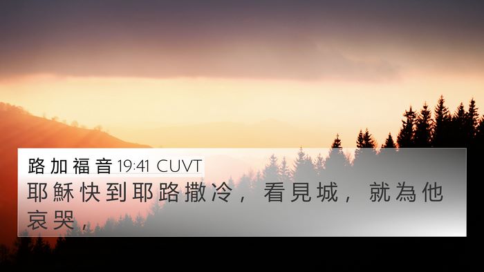 路 加 福 音 19:41 CUVT Bible Verse Image