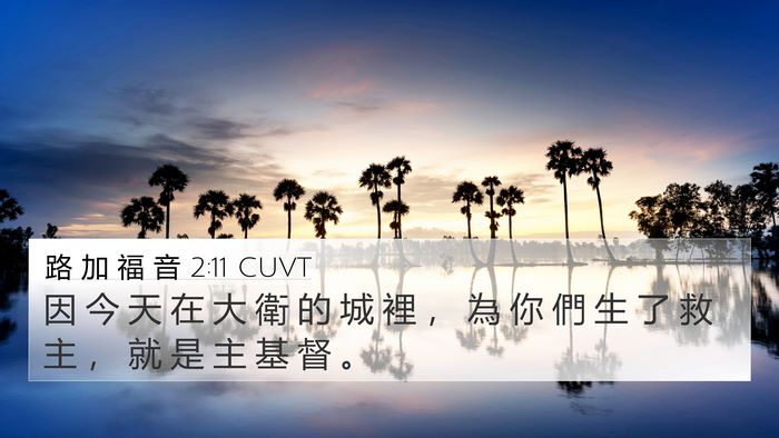 路 加 福 音 2:11 CUVT Bible Verse Image