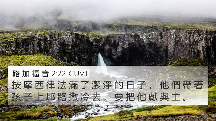 路 加 福 音 2:22 CUVT Bible Verse Image