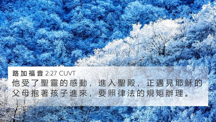 路 加 福 音 2:27 CUVT Bible Verse Image