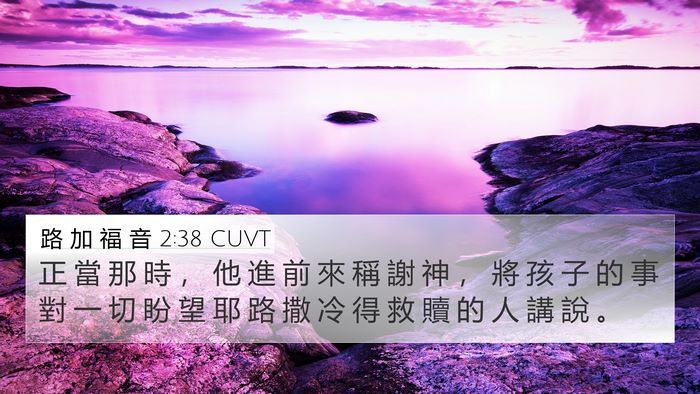 路 加 福 音 2:38 CUVT Bible Verse Image