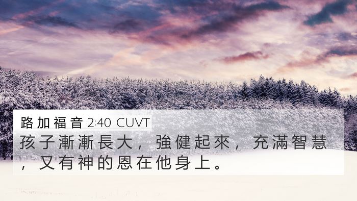 路 加 福 音 2:40 CUVT Bible Verse Image