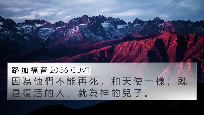 路 加 福 音 20:36 CUVT Bible Verse Image
