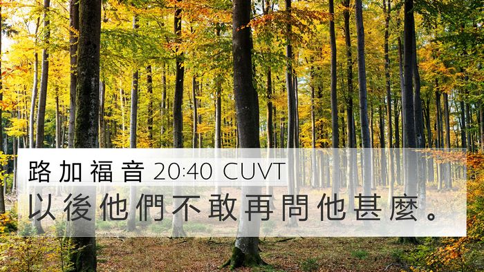 路 加 福 音 20:40 CUVT Bible Verse Image