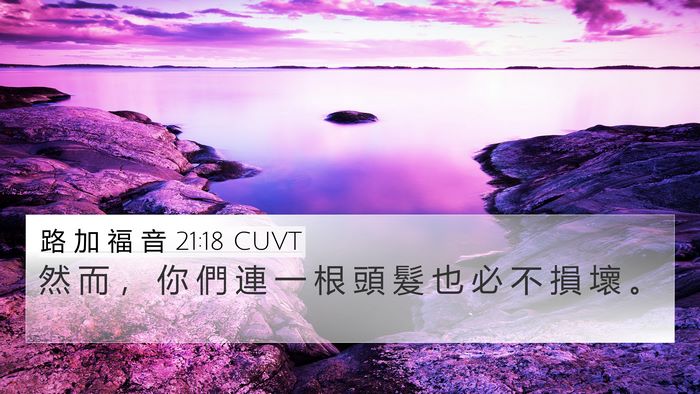 路 加 福 音 21:18 CUVT Bible Verse Image