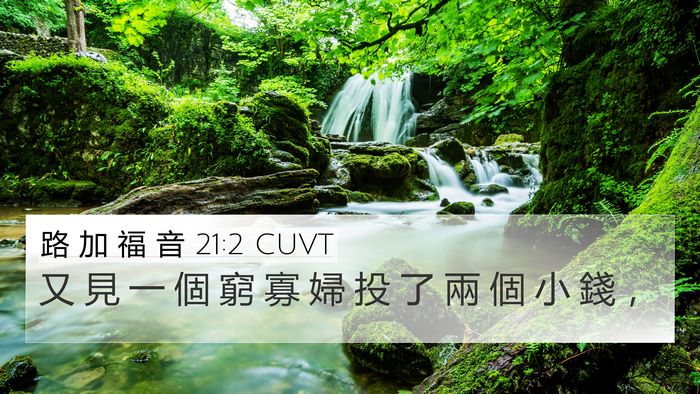 路 加 福 音 21:2 CUVT Bible Verse Image