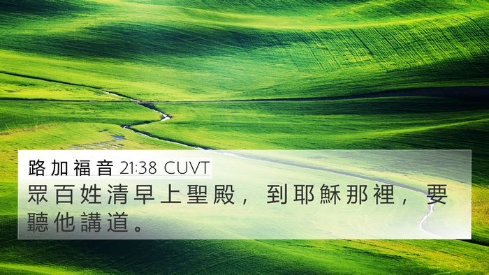 路 加 福 音 21:38 CUVT Bible Verse Image