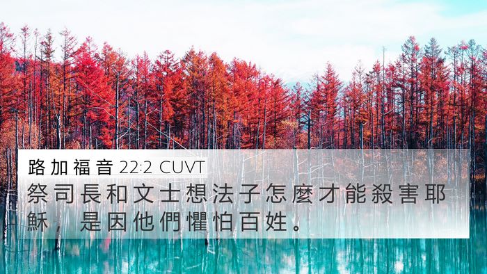路 加 福 音 22:2 CUVT Bible Verse Image