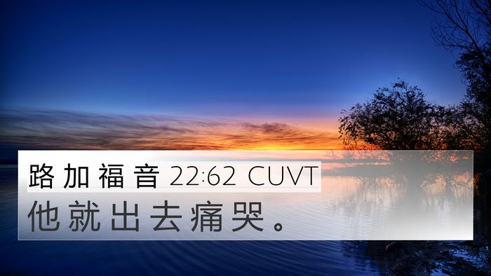 路 加 福 音 22:62 CUVT Bible Verse Image