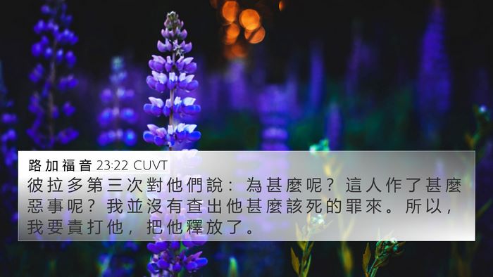 路 加 福 音 23:22 CUVT Bible Verse Image