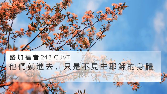路 加 福 音 24:3 CUVT 4K Wallpaper - 他 們 就 進 去 ， 只 是 不 見 主 耶 - 4K Wallpaper Bible Verse