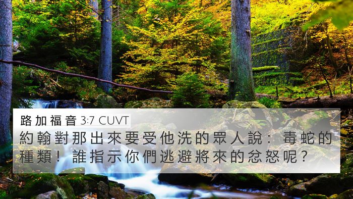路 加 福 音 3:7 CUVT Bible Verse Image