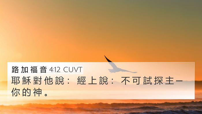 路 加 福 音 4:12 CUVT 4K Wallpaper - 耶 穌 對 他 說 ： 經 上 說 ： 不 可 - 4K Wallpaper Bible Verse