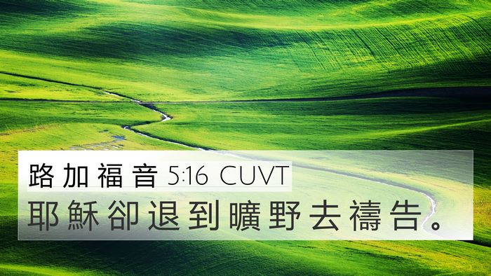 路 加 福 音 5:16 CUVT Bible Verse Image