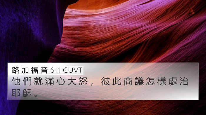 路 加 福 音 6:11 CUVT Bible Verse Image