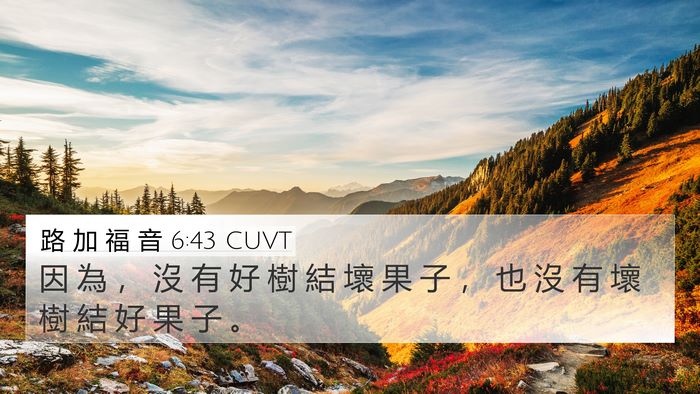 路 加 福 音 6:43 CUVT Bible Verse Image