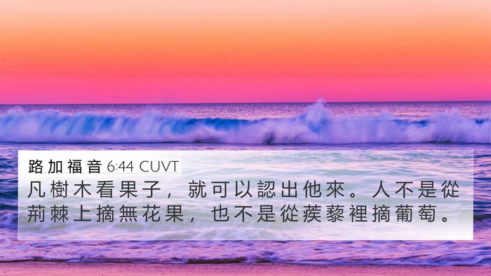 路 加 福 音 6:44 CUVT Bible Verse Image