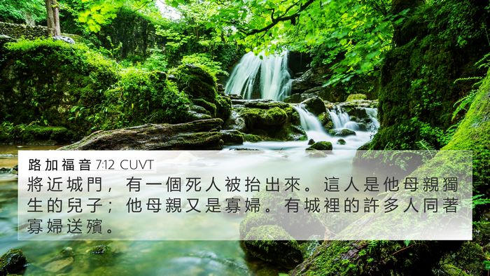 路 加 福 音 7:12 CUVT Bible Verse Image