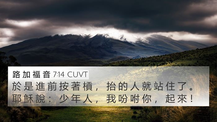 路 加 福 音 7:14 CUVT Bible Verse Image