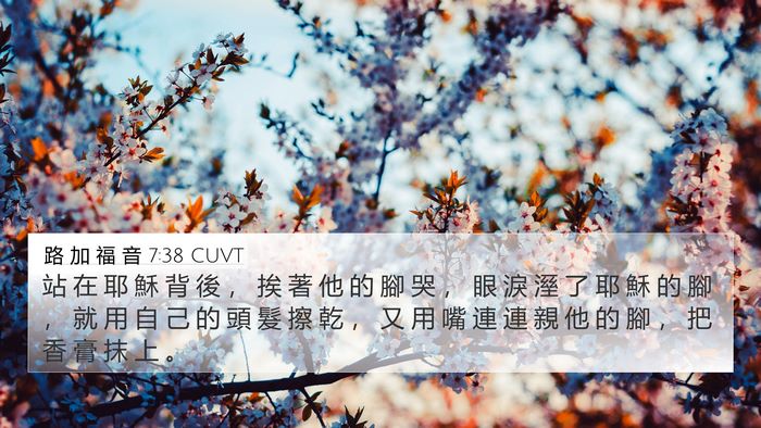 路 加 福 音 7:38 CUVT 4K Wallpaper - 站 在 耶 穌 背 後 ， 挨 著 他 的 腳 - 4K Wallpaper Bible Verse