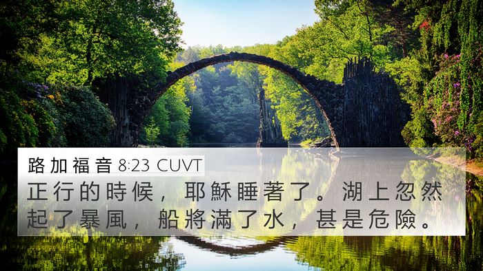 路 加 福 音 8:23 CUVT Bible Verse Image