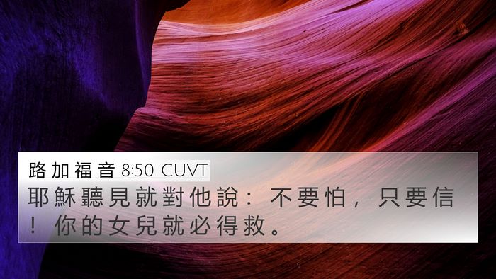 路 加 福 音 8:50 CUVT 4K Wallpaper - 耶 穌 聽 見 就 對 他 說 ： 不 要 怕 - 4K Wallpaper Bible Verse