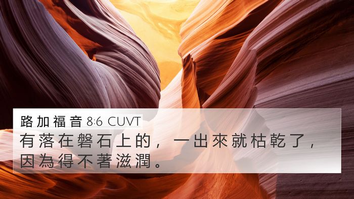 路 加 福 音 8:6 CUVT 4K Wallpaper - 有 落 在 磐 石 上 的 ， 一 出 來 就 - 4K Wallpaper Bible Verse
