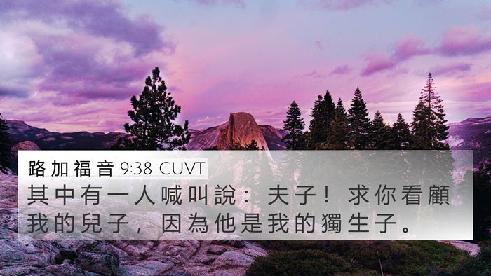路 加 福 音 9:38 CUVT Bible Verse Image