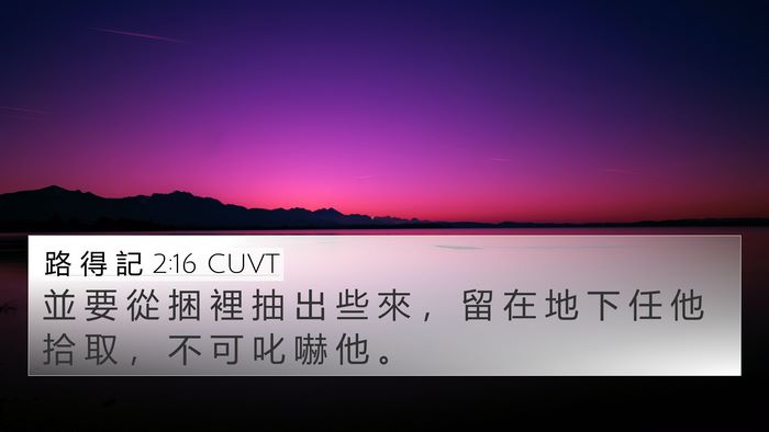 路 得 記 2:16 CUVT 4K Wallpaper - 並 要 從 捆 裡 抽 出 些 來 ， 留 在 - 4K Wallpaper Bible Verse