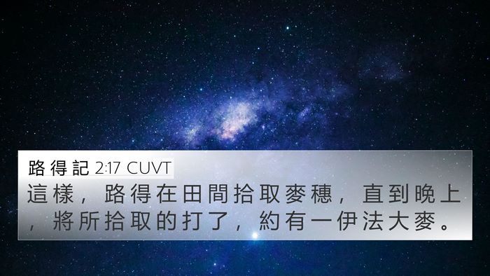 路 得 記 2:17 CUVT 4K Wallpaper - 這 樣 ， 路 得 在 田 間 拾 取 麥 穗 - 4K Wallpaper Bible Verse