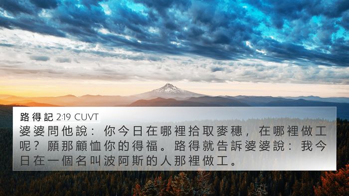 路 得 記 2:19 CUVT 4K Wallpaper - 婆 婆 問 他 說 ： 你 今 日 在 哪 裡 - 4K Wallpaper Bible Verse