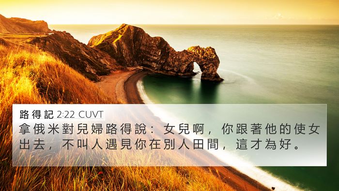 路 得 記 2:22 CUVT Bible Verse Image