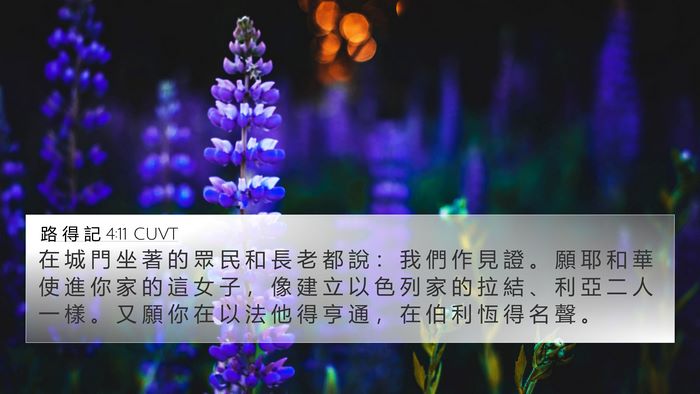 路 得 記 4:11 CUVT Bible Verse Image