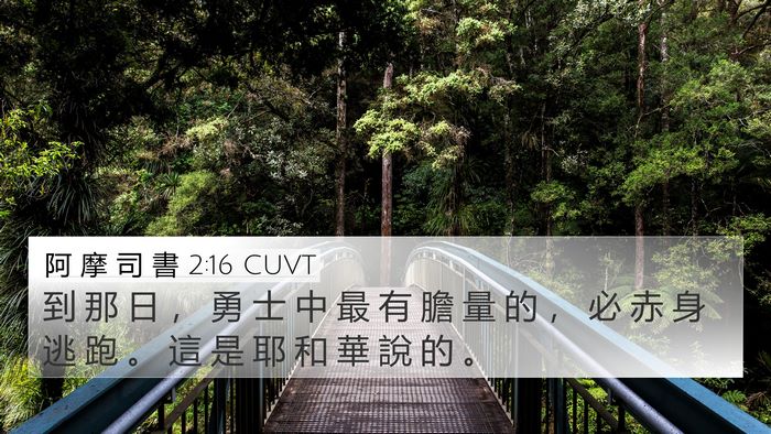 阿 摩 司 書 2:16 CUVT Bible Verse Image