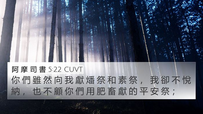 阿 摩 司 書 5:22 CUVT Bible Verse Image