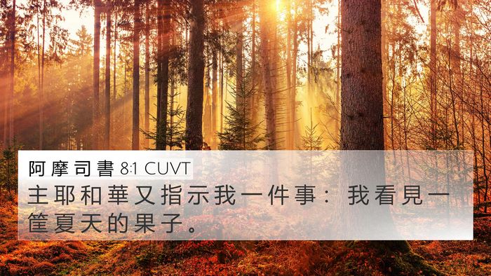 阿 摩 司 書 8:1 CUVT Bible Verse Image