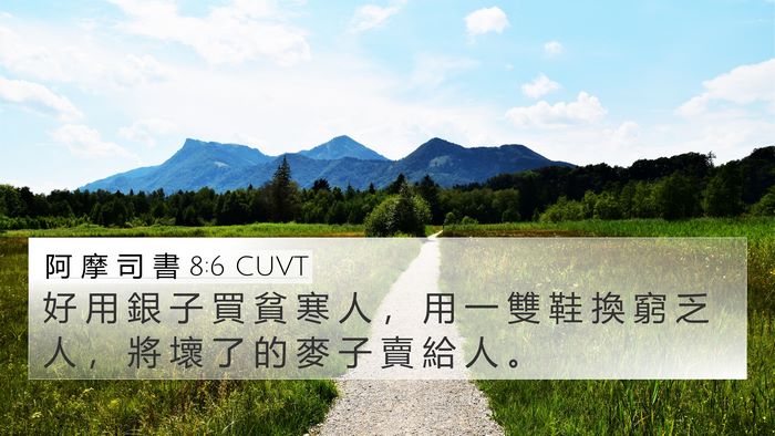 阿 摩 司 書 8:6 CUVT 4K Wallpaper - 好 用 銀 子 買 貧 寒 人 ， 用 一 雙 - 4K Wallpaper Bible Verse