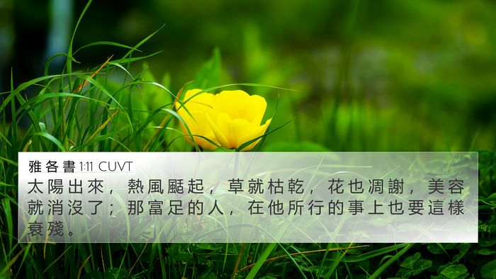 雅 各 書 1:11 CUVT Bible Verse Image