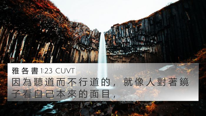 雅 各 書 1:23 CUVT Bible Verse Image